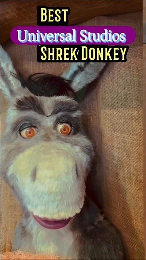 Best! Shrek Donkey! Meet and Greet! Orlando Universal Studios!#universalparks #shrek #shortvideo