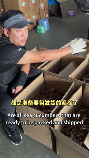 阿拉斯加红参二级为什么整箱发货？工厂出货现场｜Alaska Sea Cucumber Shipping