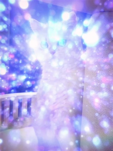 im no computer but ☺️ #joke #meme #relatable #rizz #catsoftiktok | cat