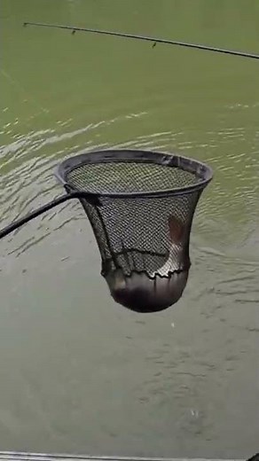 2 guys 1 fish #fishing