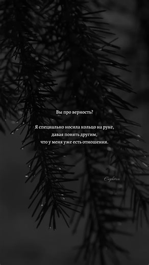 Відео користувача 𝐄𝐔𝐏𝐇𝐎𝐑𝐈𝐀 🖤 (@euphoria_1812) на тему «euphoria nate and cassie»