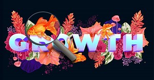 The Pan and Zoom tools - Corel Discovery Center