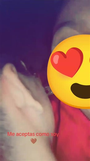 lo Amoo 👑🥺😻