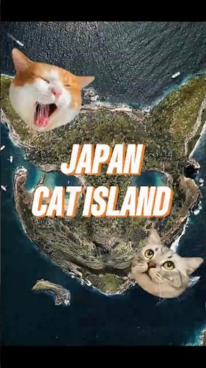 This Island Has More Cats Than Humans?! 😱🤯 #shorts