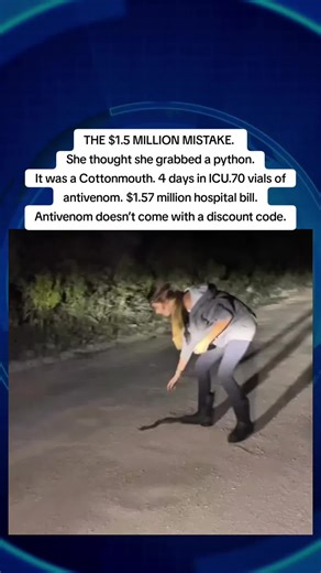 $1.5 Million Mistake: Python or Cottonmouth?