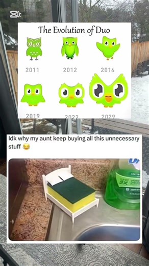 The evolution of Duolingo🤣#funny #shorts #memes