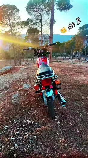 ‏#سوريا_تركيا_العراق_السعودية_الكويت #الشوقية #علا #ارجل #شارب 💪