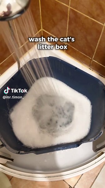 Who else has the same? 😅 #catsoftiktok #fyp #cats #funny