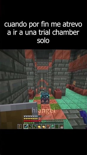 cuando por fin me atrevo a ir a una trial chamber solo