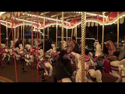 夜の東京ディズニーランドのメリーゴーランド「キャッスルカルーセル」に乗って廻った視界