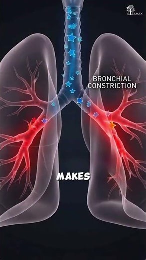 Why Asthma Cases Increase in Winter in Delhi NCR?