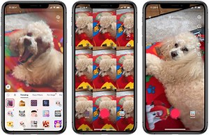 TikTok App: 7 Things Users & Parents Need to Know