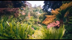 Can you keep a secret? Discover a world of beauty and mystery in the magical movie Secret Garden. Coming soon to theaters near you! #PVRPictures #PVRPicturesRelease #NewReleases #SecretGarden #SecretGardenMovie #ColinFirth #JulieWalters #ComingSoon | PVR Pictures