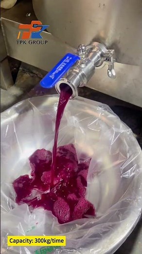 Hydraulic Fruit Vegetable Press Machine