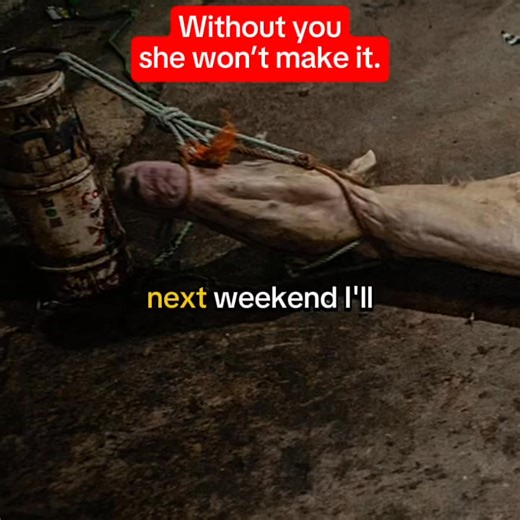 EMERGENCY ALERT! This weekend, hundreds of horses & donkeys will be sold to slaughter at the country's largest auction. I need your help to save them! Every dollar counts, every share matters. Can we raise enough to rescue one horse from a horrific fate? Please donate and spread the word NOW! | All Seated in a Barn