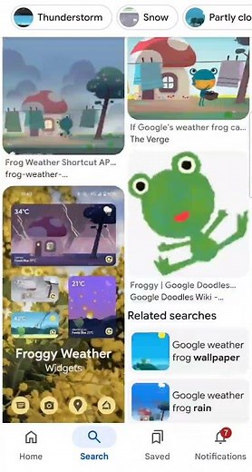 Images of the Google Weather Frog Mascot