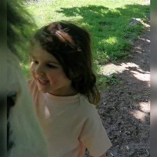 Here we go folks, the wait is over, with excitement brewing around the world with our many members of The Pony Pals Family, here is Verity meeting her new pony, Banjo. She was at pre school today, (although I ended up picking her up a tad early as I was too excited), Oliver did meet him first as we have spent the day with him, making sure he is settled in, so I've recorded both of their reactions :) Banjo is on loan, we are very much hoping it will be a long term arrangement, I've told Verity th