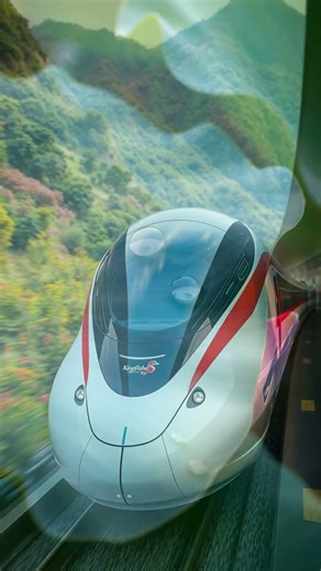 The Remarkable World of Biomimicry: Nature-Inspired Innovations