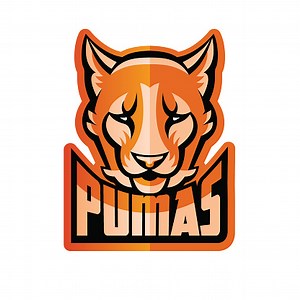 Puma-Maskottchen