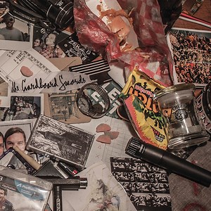 The Cardboard Swords - The Cardboard Swords