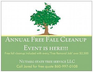 Free Fall Cleanup
