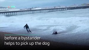 301K views · 371 reactions | Watch a woman who tries to rescue a dog from the sea in #Brighton. Both dog and woman are safe, but her actions have been described as 'dangerous' by the RNLI. | ITV News Meridian | Facebook