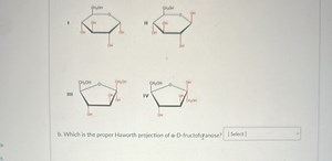 Which is the proper Haworth projection of α-D-fructofuranose?... | Filo