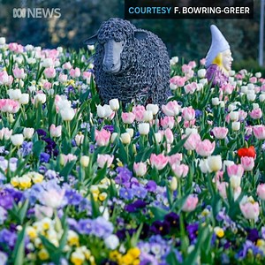 24K views · 900 reactions | Take a look back at your September, Canberra. As spring arrived in the nation's capital, we also enjoyed many gorgeous sunrises and few spectacular storms. | ABC Canberra | Facebook