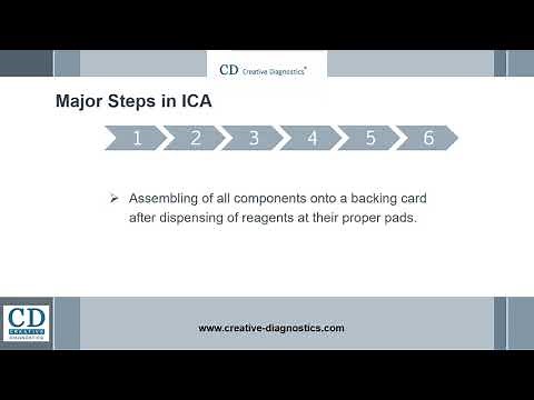 Immunochromatography Guide