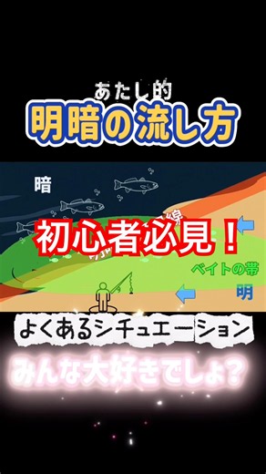 ⁠【初心者必見】シーバス 明暗撃ちで釣れるルアーの流し方パターン5選！ナイトゲーム攻略解説 #shorts