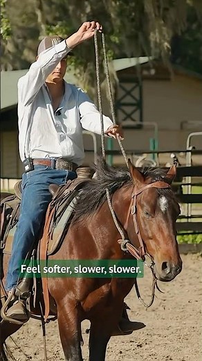 It’s not about decoration. It’s about feel. 🐴💫