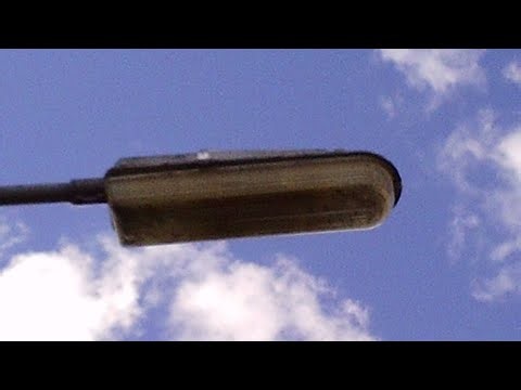 Lamp posts on lavender close 08/09/2025 (and a really nice cat)