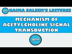 Mechanism of Acetylcholine Signal Transduction || Muscarinic & Nicotinic receptors | #NSL