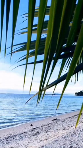 Calming Tropical Beach Scenes for Relaxation