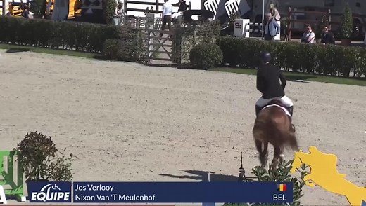 BWP Approved stallion Nixon van’t Meulenhof and Jos Verlooy jumped two beautiful clear rounds today in the CSI 3* GP Zangersheide Lanaken finishing in 4th place. Watch the video of both rounds ⬇️ Fresh and frozen semen is available. 📞0032 471 39 01 01 📧 emerald@eurohorse.be Samshield Cavalleria Toscana Parlanti Roma CWD Emerald van 't Ruytershof | Eurohorse Axel Verlooy