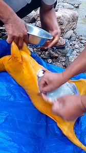 Albert Shanker on Reels