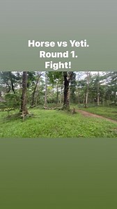 Great ride at La Mesa Nature Reserve Bike Trails last Saturday. Trails were moist but fast. Weather was just perfect #yeticyclesph #mtbislife #SabakSports #authorizedyetidealer #nobslifetimewarranty | Sabak Sports - Bicycle Shop | Facebook