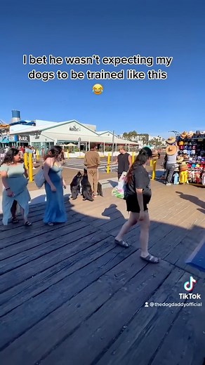 The IMMEDIATE Regret After Trying To Claim My Dogs Were His Was Real. | The Dog Daddy