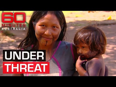 Native tribes of the Amazon River at risk of being wiped out | 60 Minutes Australia