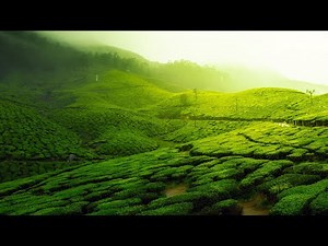 Royalty Free Yoga Music - Zen Garden Meditation