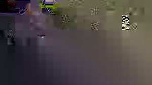 73K views | Forget goat yoga and namaste with these adorable bunnies! How quickly would you hop on this opportunity? | Gray Media Digital Content Center | Facebook