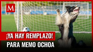 Perrito futbolero se hace viral por su habilidad como portero