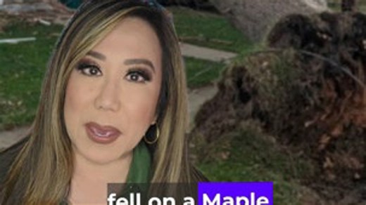 Maple Heights firefighters save squirrel family after a tree crashes onto home