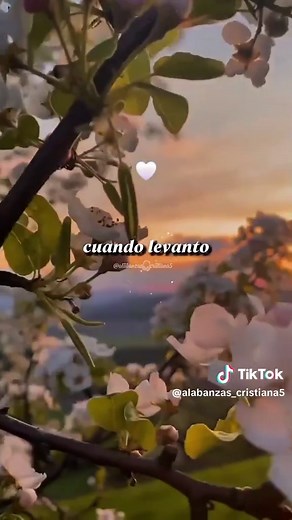 Escucha Esta Hermosa Alabanza Cristiana