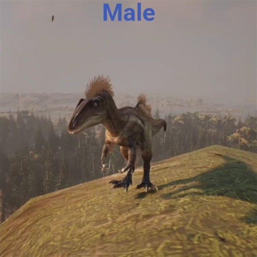 Conc growth time lapse #dinosaur #pathoftitans #gaming #spedup #timelapse #growth #dino