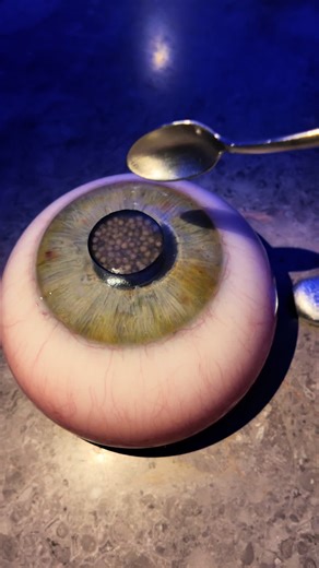 the craziest dining experience EVER at ALCHEMIST in copenhagen! We reserved 3 months in advance and were lucky enough to get a seat. Would you eat any of this??? 🫣