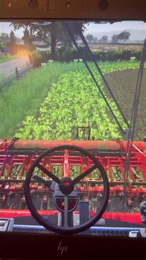 Harvesting sugar beet fs19