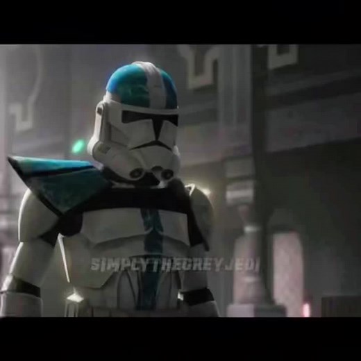 Skywalker_Theory op TikTok