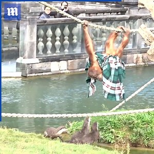 521K views · 4K reactions | These mischievous otters are coming between an orangutan and his favorite blanket!  via Caters News | Daily Mail Video | Facebook