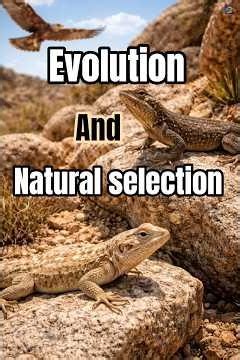 How Evolution Actually Works: How Nature Chooses Who Lives and Who Dies